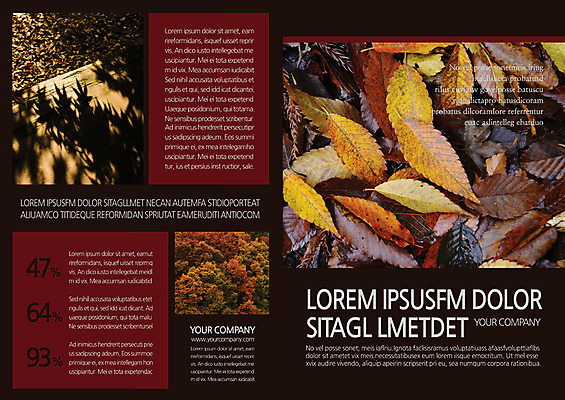 템플릿 편집 표지디자인 북디자인 출판디자인 표지 리플렛 낙엽 북커버 단풍나무 그림자 팜플렛 사람없음 환경 가을 이미지템플릿 AI파일 나무 계절 단풍 잎 파일형식 벡터