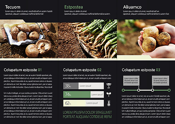 템플릿 편집 표지디자인 북디자인 손 출판디자인 내지 음식 리플렛 북커버 3단접지 감자 한명 사람 팜플렛 신체부위 바구니 버섯 흙 유기농 시금치 이미지템플릿 AI파일 1 웰빙 채소 파일형식 벡터