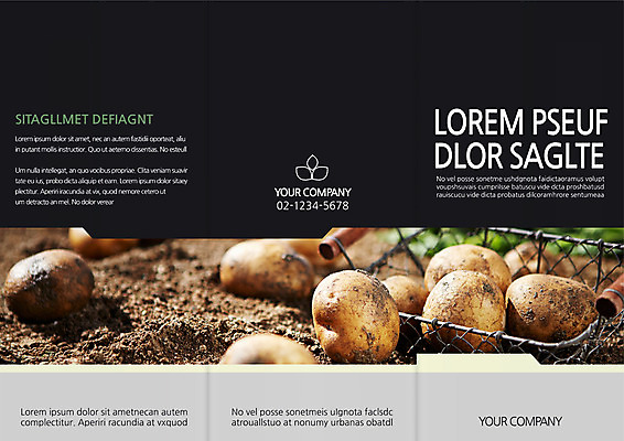 템플릿 편집 표지디자인 북디자인 출판디자인 표지 음식 리플렛 북커버 3단접지 감자 팜플렛 사람없음 바구니 환경 흙 유기농 이미지템플릿 AI파일 웰빙 채소 파일형식 벡터