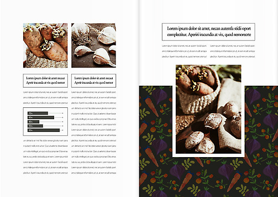 템플릿 편집 표지디자인 북디자인 출판디자인 내지 음식 리플렛 북커버 마늘 팜플렛 사람없음 바구니 버섯 당근 유기농 적환무 이미지템플릿 AI파일 웰빙 채소 뿌리채소 무 파일형식 벡터