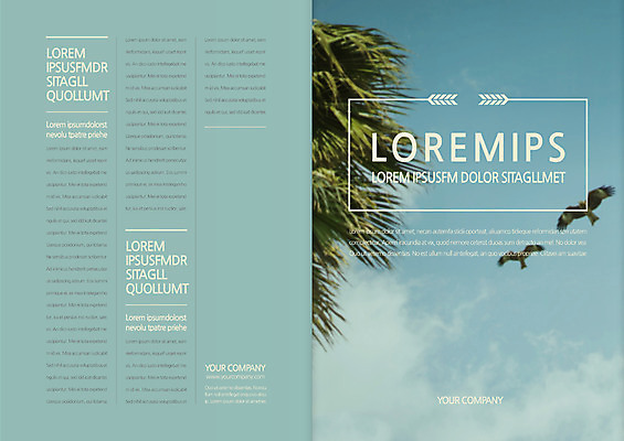 템플릿 편집 표지디자인 북디자인 출판디자인 표지 리플렛 두마리 북커버 조류 하늘 팜플렛 사람없음 야자수 환경 야자수잎 이미지템플릿 AI파일 나무 동물 잎 2 파일형식 벡터