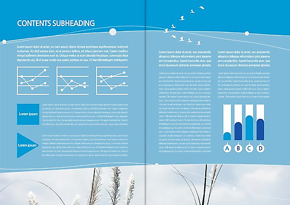 주간 식물 템플릿 편집 표지디자인 북디자인 출판디자인 내지 리플렛 북커버 조류 하늘 팜플렛 사람없음 야외 환경 강아지풀 이미지템플릿 AI파일 자연요소 동물 한해살이풀 파일형식 벡터