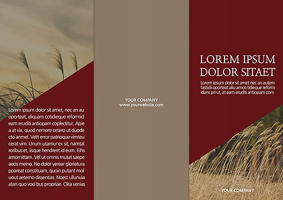 주간 템플릿 편집 표지디자인 북디자인 출판디자인 표지 리플렛 북커버 3단접지 팜플렛 사람없음 야외 가을 억새 억새밭 이미지템플릿 AI파일 자연요소 식물 계절 파일형식 벡터