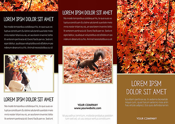 템플릿 편집 표지디자인 북디자인 손 출판디자인 표지 어린이 리플렛 단풍 낙엽 북커버 3단접지 단풍나무 한명 사람 팜플렛 신체부위 가을 힐링 청설모 이미지템플릿 AI파일 나무 1 계절 잎 파일형식 벡터