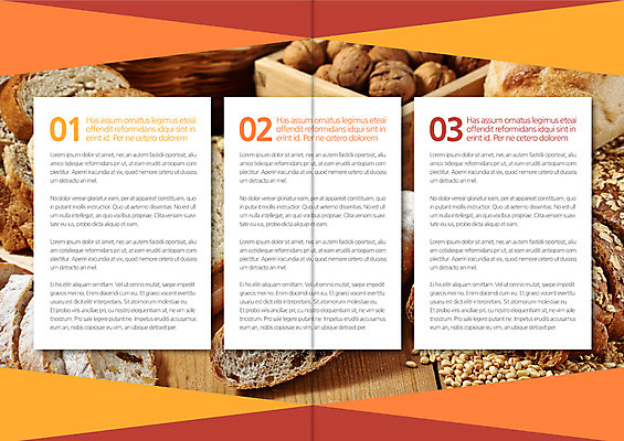 템플릿 편집 표지디자인 북디자인 출판디자인 내지 음식 빵 리플렛 북커버 종류 팜플렛 사람없음 견과류 가을 이미지템플릿 AI파일 계절 파일형식 벡터