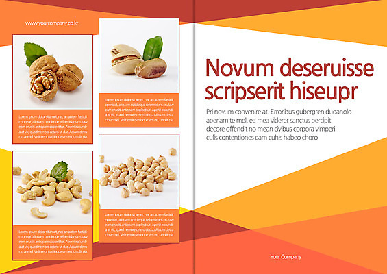 템플릿 편집 표지디자인 북디자인 출판디자인 표지 음식 리플렛 북커버 팜플렛 사람없음 견과류 가을 호두 병아리콩 캐슈넛 피스타치오 이미지템플릿 AI파일 계절 콩 파일형식 벡터