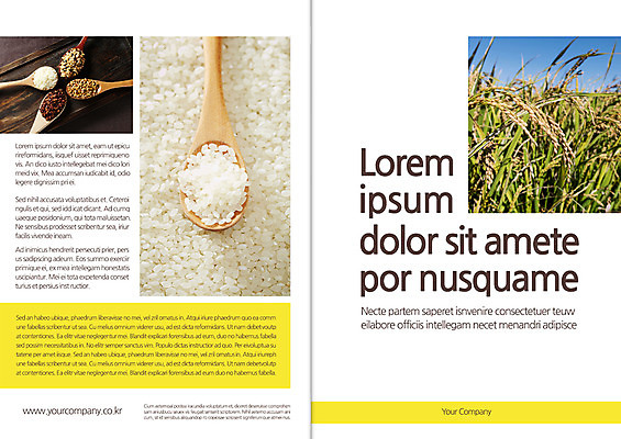 템플릿 편집 표지디자인 북디자인 출판디자인 표지 음식 리플렛 북커버 곡류 팜플렛 사람없음 벼 쌀 가을 나무숟가락 이미지템플릿 AI파일 계절 숟가락 파일형식 벡터