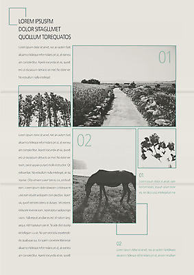 주간 나무 템플릿 편집 표지디자인 북디자인 출판디자인 내지 리플렛 북커버 3단접지 자연 흑백 팜플렛 사람없음 야외 산책로 말_동물 이미지템플릿 AI파일 자연요소 식물 길 포유류 촬영기법 생태계 파일형식 벡터