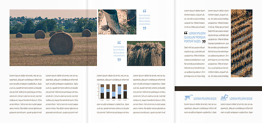 주간 템플릿 편집 표지디자인 북디자인 출판디자인 내지 리플렛 밭 북커버 3단접지 논 팜플렛 사람없음 야외 빈티지 건초 이미지템플릿 AI파일 자연요소 컨셉 농업 파일형식 벡터