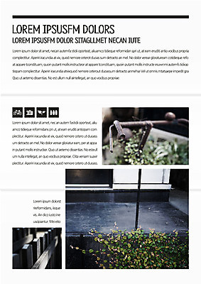 주간 식물 템플릿 편집 표지디자인 북디자인 출판디자인 내지 리플렛 북커버 3단접지 팜플렛 사람없음 야외 울타리 빈티지 이미지템플릿 AI파일 자연요소 컨셉 담장 파일형식 벡터