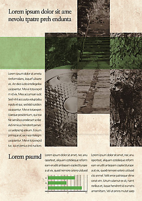 나무 템플릿 편집 표지디자인 북디자인 출판디자인 내지 리플렛 북커버 3단접지 팜플렛 사람없음 계단 빈티지 맨홀 이미지템플릿 AI파일 식물 컨셉 파일형식 벡터