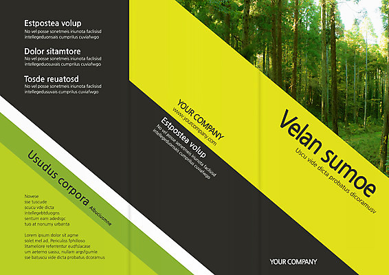 주간 나무 템플릿 편집 표지디자인 북디자인 출판디자인 표지 리플렛 북커버 3단접지 자연 팜플렛 사람없음 야외 숲 힐링 이미지템플릿 AI파일 자연요소 식물 생태계 파일형식 벡터