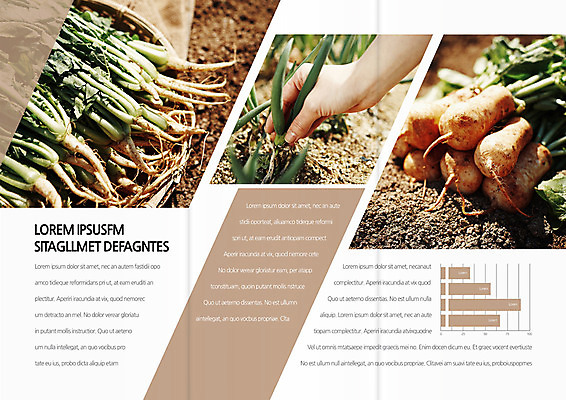 템플릿 편집 표지디자인 북디자인 손 출판디자인 내지 리플렛 농업 북커버 3단접지 한명 사람 팜플렛 신체부위 농사 흙 무 시금치 심기 알타리무 이미지템플릿 AI파일 1 산업 채소 모션 뿌리채소 파일형식 벡터