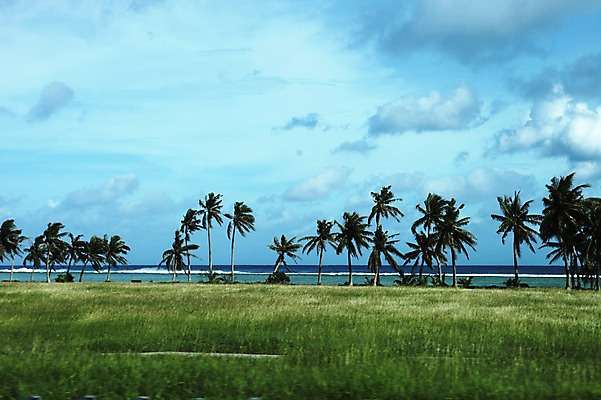 포토 JPG 주간 해외 풍경 잔디 해변 사람없음 야외 야자수 오세아니아 괌 국내포토 자연요소 나무 식물 나라 바다 파일형식