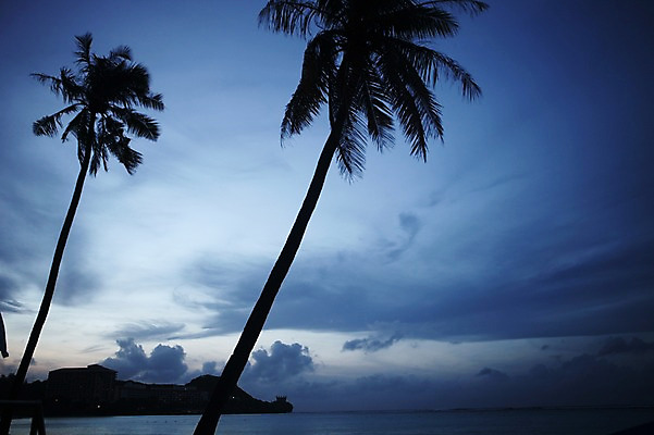 포토 JPG 주간 구름 해외 바다 하늘 풍경 해변 사람없음 야외 야자수 오세아니아 두그루 괌 흐림 국내포토 자연요소 나무 나라 2 날씨 파일형식
