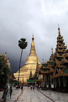 포토 JPG 주간 해외 아시아 불교 풍경 사람없음 야외 불탑 미얀마 쉐다곤파고다 양곤 국내포토 자연요소 나라 종교 종교건축 파일형식