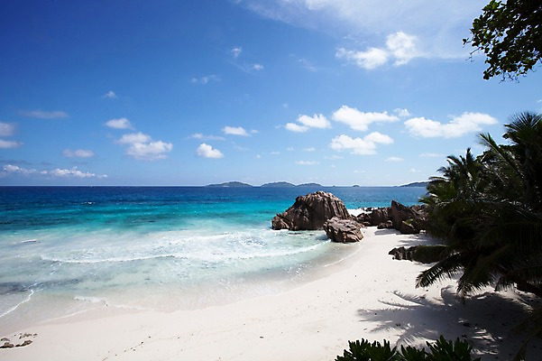 포토 JPG 주간 해외 바다 아프리카 풍경 해변 사람없음 야외 모래사장 야자수 바위 세이셸 라디그 국내포토 자연요소 나무 나라 돌_바위 파일형식