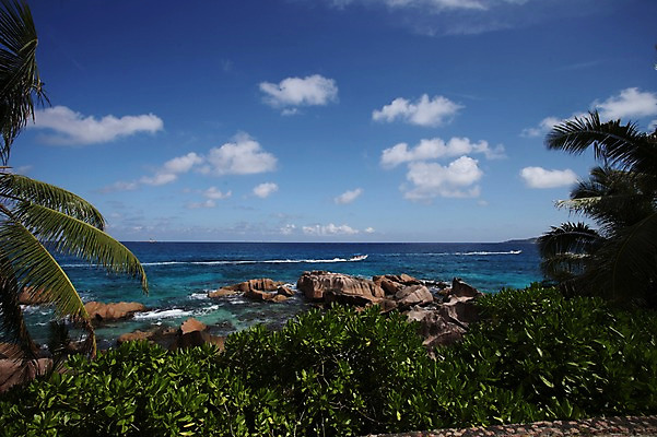 포토 JPG 주간 식물 해외 바다 아프리카 풍경 사람없음 야외 야자수 바위 세이셸 라디그 국내포토 자연요소 나무 나라 돌_바위 파일형식