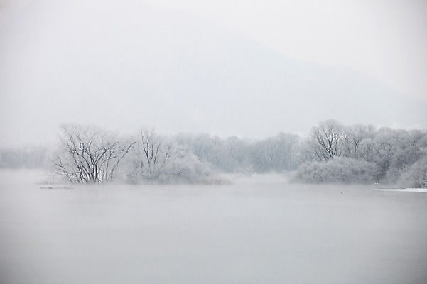 포토 JPG 주간 나무 아시아 바다 겨울 한국 풍경 사람없음 야외 흰색 눈 강원도 상고대 춘천 겨울풍경 국내포토 자연요소 식물 계절 나라 컬러 날씨 서리 파일형식
