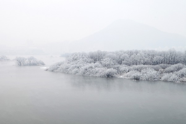 포토 JPG 주간 나무 아시아 바다 겨울 한국 풍경 사람없음 야외 흰색 눈 강원도 상고대 춘천 겨울풍경 국내포토 자연요소 식물 계절 나라 컬러 날씨 서리 파일형식