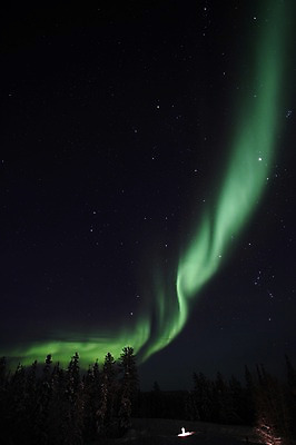 포토 JPG 해외 캐나다 밤하늘 아메리카 풍경 사람없음 야외 야간 오로라 국내포토 자연요소 북아메리카 자연현상 하늘 대륙 파일형식