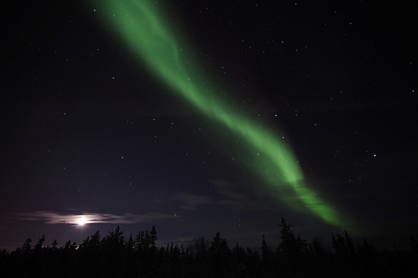 포토 JPG 해외 캐나다 밤하늘 아메리카 풍경 사람없음 야외 야간 오로라 국내포토 자연요소 북아메리카 자연현상 하늘 대륙 파일형식