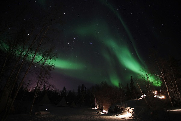 포토 JPG 해외 캐나다 밤하늘 아메리카 풍경 사람없음 야외 야간 오로라 국내포토 자연요소 북아메리카 자연현상 하늘 대륙 파일형식