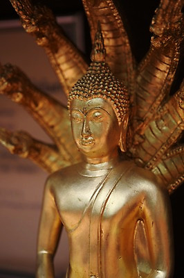 포토 JPG 해외 아시아 불교 태국 사람없음 금색 불상 치앙라이 국내포토 나라 종교 컬러 파일형식