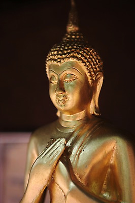포토 JPG 해외 아시아 불교 태국 사람없음 금색 불상 치앙라이 국내포토 나라 종교 컬러 파일형식