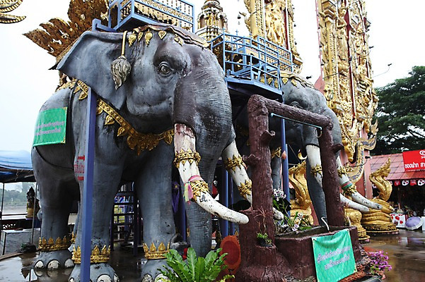 포토 JPG 주간 해외 아시아 태국 코끼리 사람없음 야외 조각상 치앙라이 국내포토 자연요소 나라 포유류 조형물 파일형식