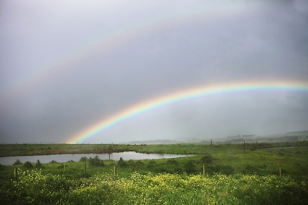 포토 JPG 주간 해외 무지개 풍경 초원 사람없음 야외 오세아니아 호주 흐림 그레이트오션로드 국내포토 자연요소 나라 날씨 파일형식