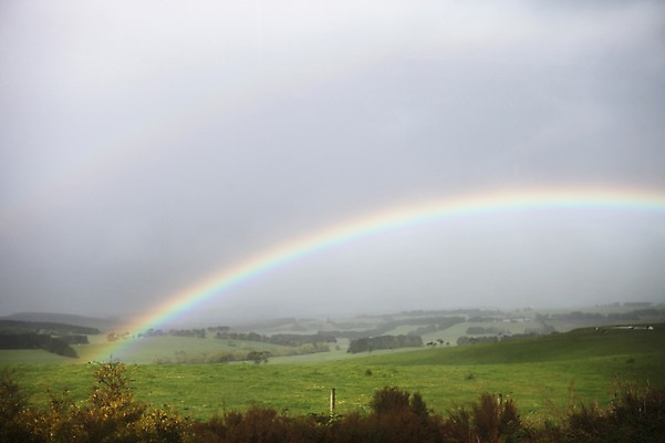 포토 JPG 주간 해외 무지개 풍경 초원 사람없음 야외 오세아니아 호주 흐림 그레이트오션로드 국내포토 자연요소 나라 날씨 파일형식