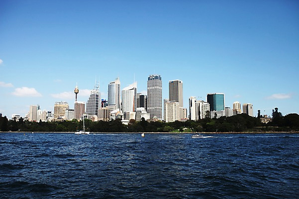 포토 JPG 주간 해외 바다 풍경 빌딩 사람없음 야외 건물 도시 오세아니아 호주 시드니 국내포토 자연요소 건축물 나라 파일형식