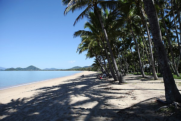 포토 JPG 주간 해외 사람 풍경 해변 야외 야자수 오세아니아 호주 그늘 시드니 국내포토 자연요소 나무 나라 바다 파일형식