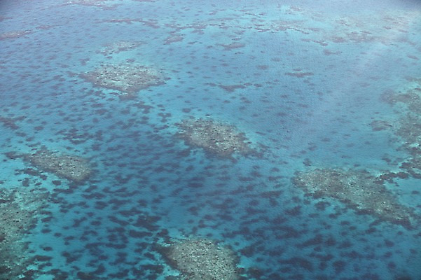 포토 JPG 주간 해외 바다 풍경 사람없음 야외 바위 오세아니아 호주 시드니 국내포토 자연요소 나라 돌_바위 파일형식