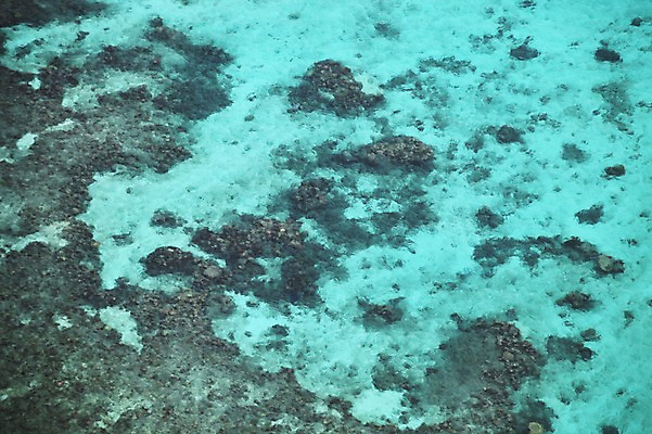 포토 JPG 주간 해외 바다 풍경 사람없음 야외 바위 오세아니아 호주 시드니 국내포토 자연요소 나라 돌_바위 파일형식