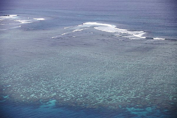 포토 JPG 주간 해외 파도 바다 풍경 사람없음 야외 오세아니아 호주 시드니 국내포토 자연요소 나라 파일형식