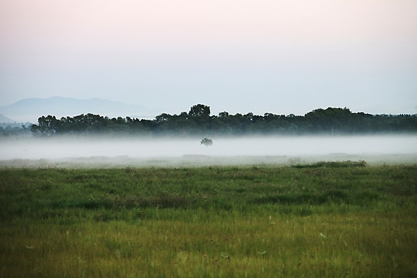 포토 JPG 주간 해외 자연 풍경 잔디 사람없음 야외 안개 오세아니아 호주 시드니 국내포토 자연요소 식물 나라 날씨 생태계 파일형식