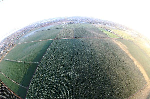 포토 JPG 주간 해외 밭 논 풍경 사람없음 야외 시골 오세아니아 호주 시드니 국내포토 자연요소 나라 농업 파일형식
