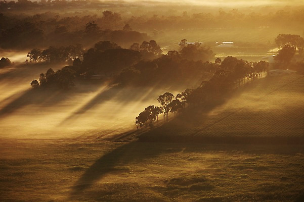 포토 JPG 주간 나무 해외 밭 논 그림자 풍경 사람없음 야외 마을 일몰 시골 오세아니아 호주 시드니 국내포토 자연요소 식물 나라 농업 노을 파일형식