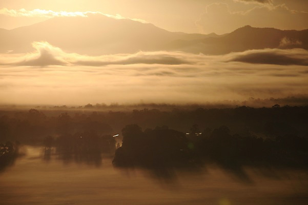포토 JPG 주간 나무 해외 자연 그림자 풍경 사람없음 야외 일몰 안개 오세아니아 호주 시드니 국내포토 자연요소 식물 나라 날씨 노을 생태계 파일형식