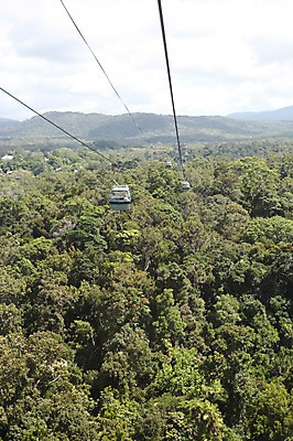 포토 JPG 주간 나무 해외 산 풍경 사람없음 야외 오세아니아 호주 숲 시드니 케이블카 국내포토 자연요소 식물 나라 파일형식
