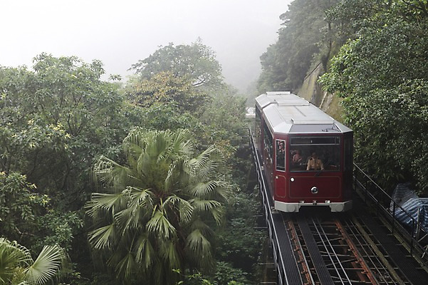 포토 JPG 주간 나무 해외 아시아 풍경 사람없음 야외 야자수 기찻길 기차 홍콩 빅토리아피크 철도의날 국내포토 자연요소 식물 나라 육상교통 산 대중교통 중국 파일형식 법정기념일