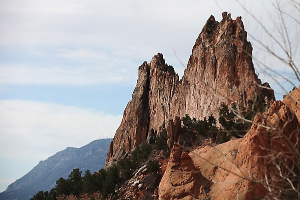 포토 JPG 주간 나무 해외 자연 바위산 아메리카 풍경 사람없음 야외 미국 콜로라도 국내포토 자연요소 식물 북아메리카 돌산 대륙 생태계 파일형식