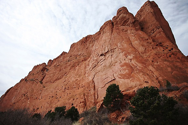 포토 JPG 주간 나무 해외 자연 바위산 아메리카 풍경 사람없음 야외 미국 바위 콜로라도 국내포토 자연요소 식물 북아메리카 돌_바위 돌산 대륙 생태계 파일형식
