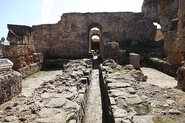 포토 JPG 주간 해외 아프리카 유적지 사람없음 야외 세계문화유산 튀니지 북아프리카 비르사언덕 카르타고유적 국내포토 자연요소 나라 고건축 문화재 언덕 파일형식