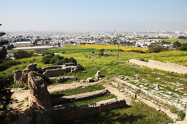 포토 JPG 주간 해외 아프리카 풍경 사람없음 야외 건물 세계문화유산 도시 튀니지 북아프리카 비르사언덕 카르타고유적 국내포토 자연요소 건축물 나라 문화재 언덕 파일형식