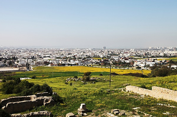 포토 JPG 주간 해외 아프리카 풍경 사람없음 야외 건물 세계문화유산 도시 튀니지 북아프리카 비르사언덕 카르타고유적 국내포토 자연요소 건축물 나라 문화재 언덕 파일형식