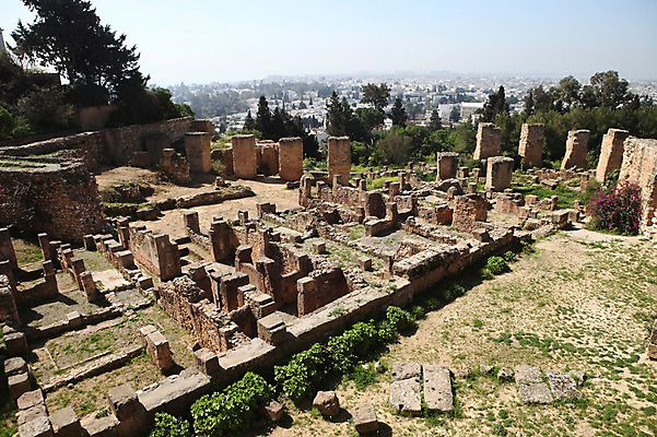 포토 JPG 주간 해외 아프리카 풍경 사람없음 야외 건물 세계문화유산 도시 튀니지 북아프리카 비르사언덕 카르타고유적 국내포토 자연요소 건축물 나라 문화재 언덕 파일형식