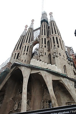 포토 JPG 주간 해외 유럽 사람없음 야외 성당 세계문화유산 스페인 사그라다파밀리아 국내포토 자연요소 나라 종교건축 문화재 바르셀로나 파일형식